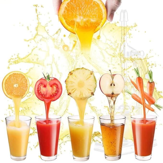 Manual Stainless Steel Fruit Juicer