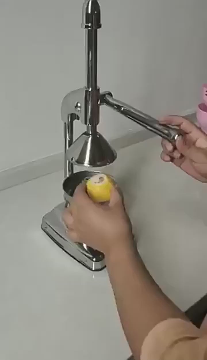 Manual Stainless Steel Fruit Juicer