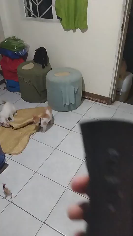 Portable Ultrasonic Dog Chaser – Humane Protection from Aggressive Dogs